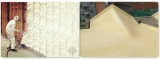 Rigid Polyether Polyols 